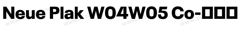 Neue Plak W04W05 Co字体转换